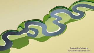 Stream Meanders and Floodplain Formation [upl. by Aissenav727]