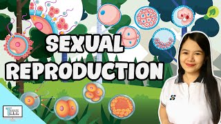 Sexual Reproduction in Animals  Biology [upl. by Dhaf]