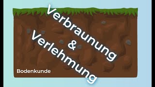 Bodenkunde verstehen – Verlehmung und Verbraunung [upl. by Christi]