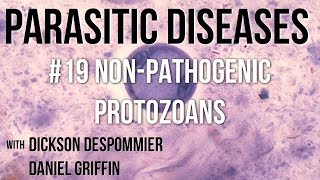 Parasitic Diseases Lectures 19 NonPathogenic Protozoans [upl. by Constance]