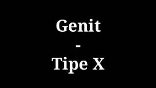 Genit  Tipe X  lirik [upl. by Vina]