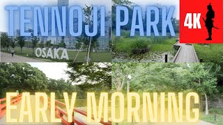 【4K】Morning Walk in Tennoji Park and Chausuyama Osaka  Japan  朝天王寺公園を散歩 [upl. by Ebner]