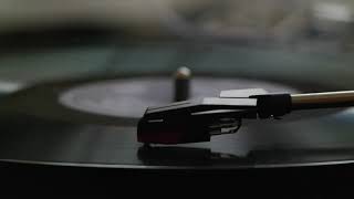 Old Vinyl Record Crackle On Loop for 1 Hour No Futur [upl. by Anitsua]