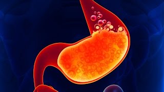 Human Physiology  Regulation of HCl and Pepsinogen Synthesis amp Secretion Gastric Phase [upl. by Khanna890]