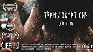 Transformations The Film [upl. by Laundes]