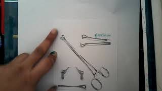 Babcock forceps  Obstetrics [upl. by Mathew]