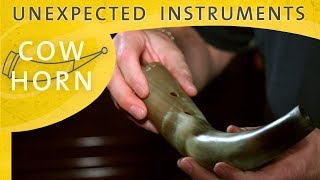 Unexpected Instruments Cow Horn [upl. by Sirac]