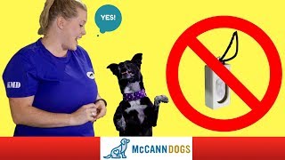 Clicker Training Without A Clicker  Professional Dog Training Tips [upl. by Bridge709]