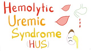 Hemolytic Uremic Syndrome HUS [upl. by Ytisahcal]