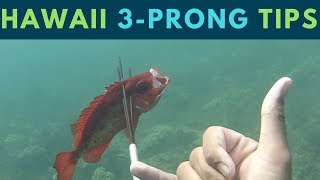 MUST KNOW Hawaii Spearfishing Tips for quot3Prongquot PolespearBeginner Friendly [upl. by Ailemap45]