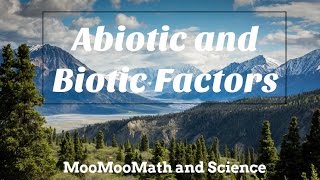 Difference between Abiotic and Biotic Factors [upl. by Nylarahs332]