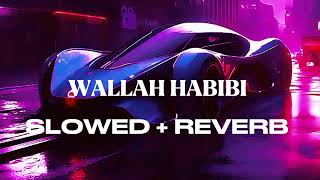 WALLAH HABIBI SLOWED  REVERB [upl. by Aneala]