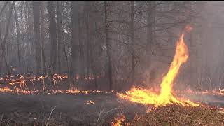 Learning About Burning An Introduction to Prescribed Fire for NC Landowners [upl. by Annoit]