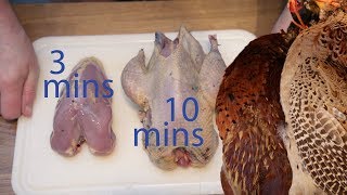 How to Quickly Pluck and Dress Pheasant [upl. by Noerb345]