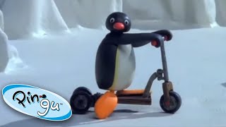 The NEW Scooter 🐧  Pingu  Official Channel  Cartoons For Kids [upl. by Ahsini]