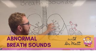 Abnormal Breath Sounds  Respiratory System [upl. by Naga]