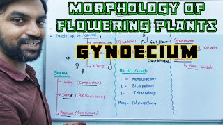 Gynoecium  Morphology of Flowering Plants [upl. by Inaja]