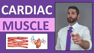 Muscle Histology Explained for Beginners  Corporis [upl. by Layney175]