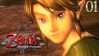 Zelda Twilight Princess HD 01  RETOUR AU CRÉPUSCULE [upl. by Nyssa518]