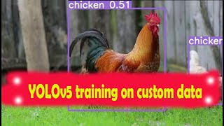 YOLOv5 training with custom data [upl. by Eveam]