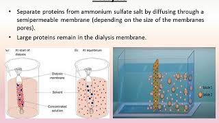 Protein Separation and Purification techniques [upl. by Cristoforo]