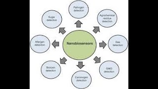 NANO BIOSENSORS [upl. by Simaj661]