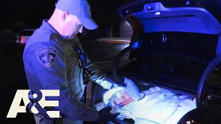 Live PD Top 5 Busts  AampE [upl. by Jonie145]