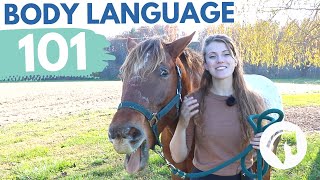 READING HORSE BODY LANGUAGE amp BEHAVIOR [upl. by Tolkan]