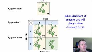 Gregor Mendel and Genetics [upl. by Okeim]