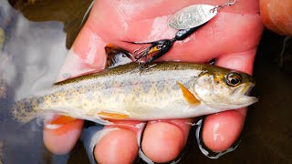 How To FISH Rooster Tails For TROUT In Creeks Rivers amp Streams [upl. by Farwell]