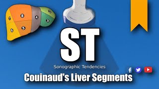 Ultrasound Couinauds Liver Segments [upl. by Cogan720]