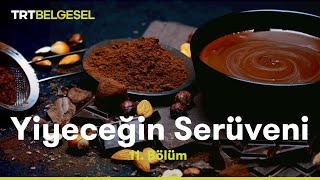 Yiyeceğin Serüveni  Çikolata  TRT Belgesel [upl. by Dino942]