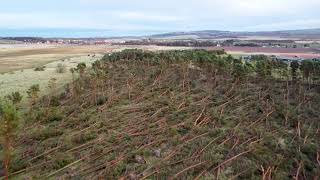 Storm Arwen Devastation at John Muir Country Park [upl. by Georgeanna]