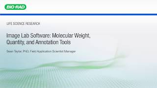 Image Lab Software Molecular Weight Quantity and Annotation Tools [upl. by Pathe]