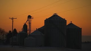 Trapped Dying alone in grain bins [upl. by Charlie547]