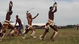 Zulu Dance Championships  Ulundi [upl. by Annaoy550]