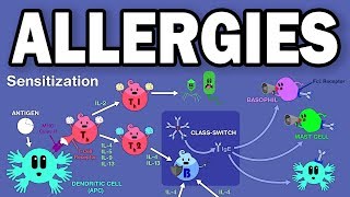 ALLERGIESTYPE I HYPERSENSITIVITY [upl. by Ree]