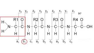 Mass spectrometry for proteomics  part 2 [upl. by Jeaz]