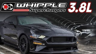 38L WHIPPLE SUPERCHARGED Mustang Puts Down 1300hp  PLUS Whipple 2020 GT500 News [upl. by Griffis274]