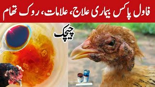 Chicken Fowl Pox Treatment Prevention and Fowl Pox Vaccine in Pakistan  Dr ARSHAD [upl. by Radman234]