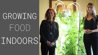 Aeroponic Tower Garden – Indoor growing made easy [upl. by Theressa]