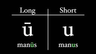 The Latin Alphabet  Vowel Pronunciation [upl. by Allista]