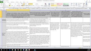 How to Create a Literature Matrix Excel [upl. by Yelats]