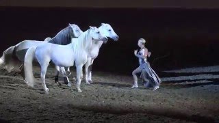 Liberty with 3 horses  Sylvia Zerbini  Night of the Horse 2016  Del Mar National Horse Show [upl. by Nadya]