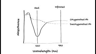 How does Pulse Oximetry work [upl. by Clarine328]