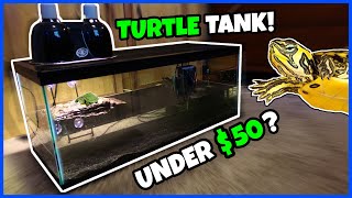 CHEAPEST WAY To Set Up A TURTLE TANK [upl. by Euqitsym]