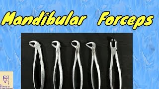 Mandibular Forceps  Identification and uses  Lower extraction forceps [upl. by Weaver795]