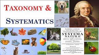 Taxonomy  Systematics  Carolus Linnaeus  Part 1 [upl. by Ovid]