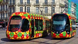 Trams in France  Les Tramways de Montpellier [upl. by Trilley]