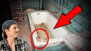 Top 3 photos with DISTURBING backstories  Part 10 [upl. by Alvar]